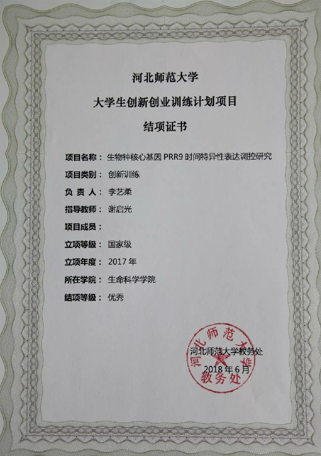 ¦·+-+¦++-p (2).jpg